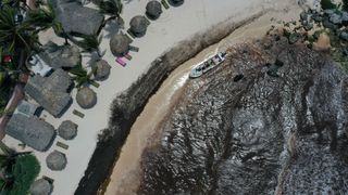 The shore of a tourist resort in Mexico turns black with seaweed (Credit: Getty Images)