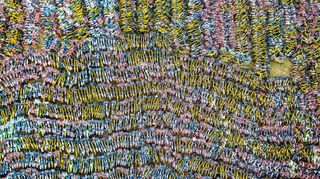 In 2017, images of vast fields of bicycles began to emerge – a sign that setting up a successful bike share scheme wasn't as easy as it looked (Credit: Getty Images)