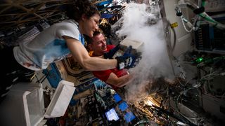 While it is possible to 3D print living organs in space, handling biological material in space requires care and getting them back to Earth could prove expensive (Credit: Nasa)