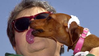 A woman being licked on the face by a dog (Credit: Getty Images)