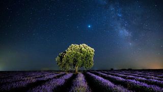 Could we become a 'galactic civilisation'? (Credit: Marco del Mazo/Getty Images)