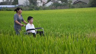 A man with ALS being pushed in a wheelchair (Credit: Alamy)