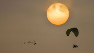 Scientists in an ultralight aircraft lead a flock of birds