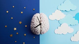 Image showing brain and circadian rhythms (Credit: Getty Images)
