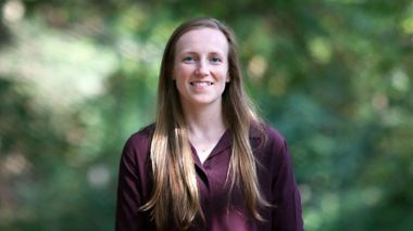 Uk Politics Bbc News